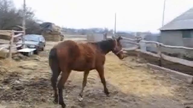 Аншлаг смотреть онлайн