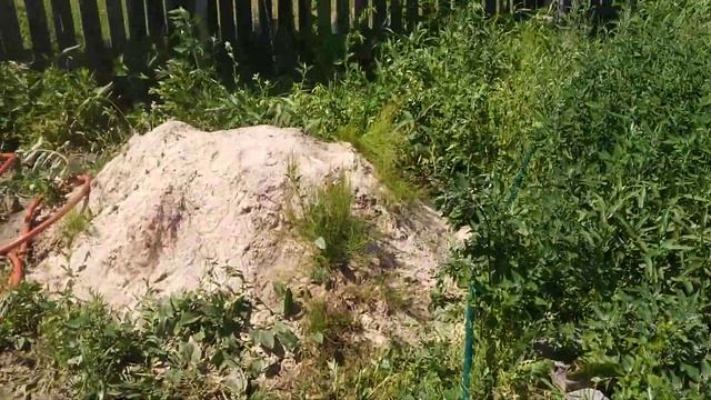 СНТ Чайка смотреть онлайн