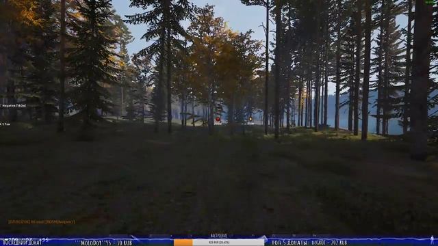 ?ВЫЖИВАЕМ в СУРОВОМ МИРЕ?☠ТЁМНАЯ СТОРОНА☠?Deadside?прямой эфир онлайн ? ▌Стрим ▌