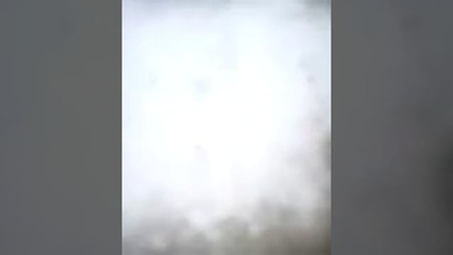 Гуляю с лаской на площадке. смотреть онлайн