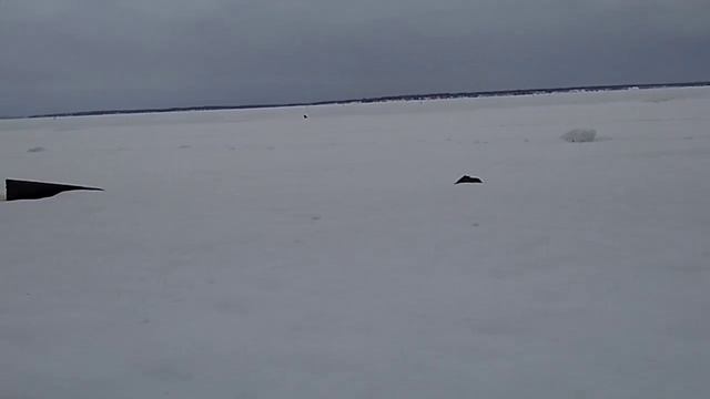 Рыбалка на горе море #1 смотреть онлайн