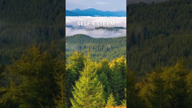 Boost Your Confidence with These Daily Affirmations смотреть онлайн