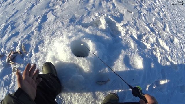 Флюорокарбон ICE SHADOW смотреть онлайн