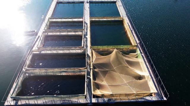 Форелевое хозяйство "Каменный Карьер" смотреть онлайн