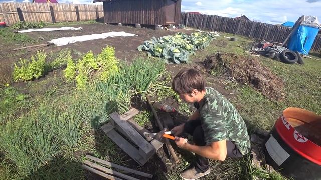 СТРОЙКА ПРОДОЛЖАЕТСЯ / У НАС НЕ ЮГ, УТЕПЛЯЮ ДОМ В СИБИРИ / ЗАЩИТА ОТ СОБАК / ДОМ В ДЕРЕВНЕ смотреть онлайн