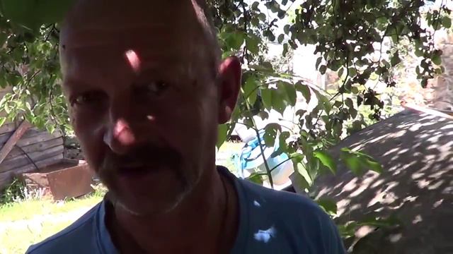 В гостях у Сергея Лесниченко хранителя горы Бойка 3-3 Глобальная Волна - The Global Wave смотреть онлайн