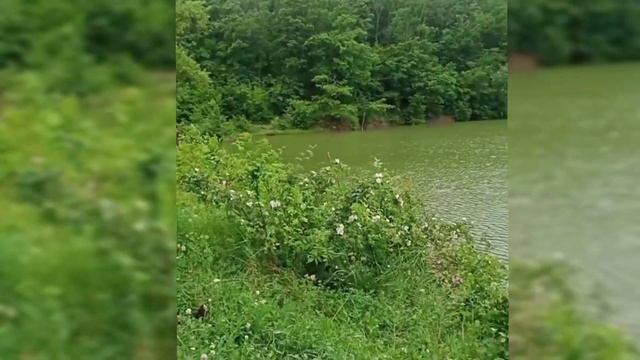 Крым.10.06.2023 Поездка на озеро Ворон, Мыс Меганом. смотреть онлайн