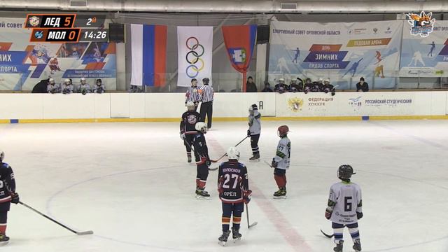 Турнир FIRE FOXES CUP. Первый игровой день 2.12.2022 смотреть онлайн