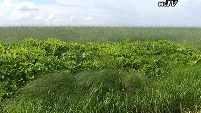 Российское Нечерноземье