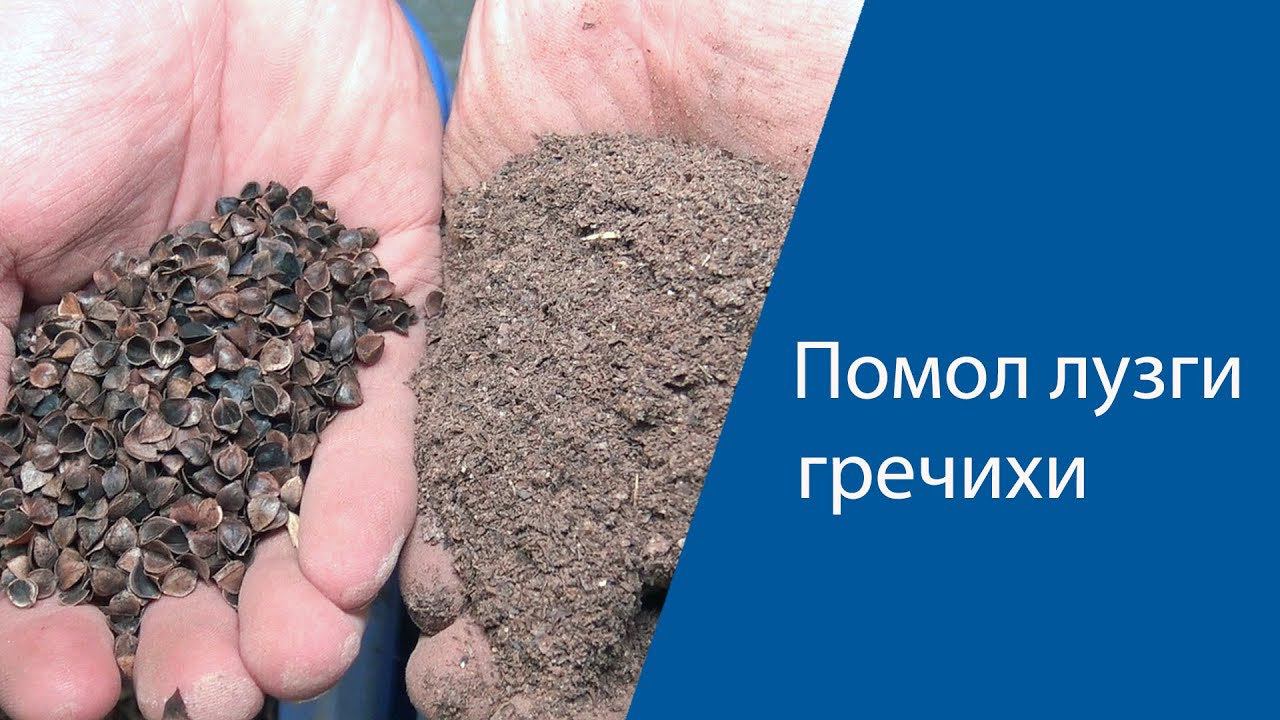 Помол лузги гречихи смотреть онлайн