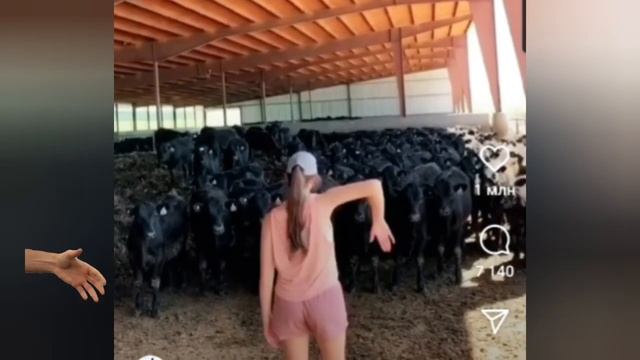 Тема закрыта, но лорики пилим! ? смотреть онлайн