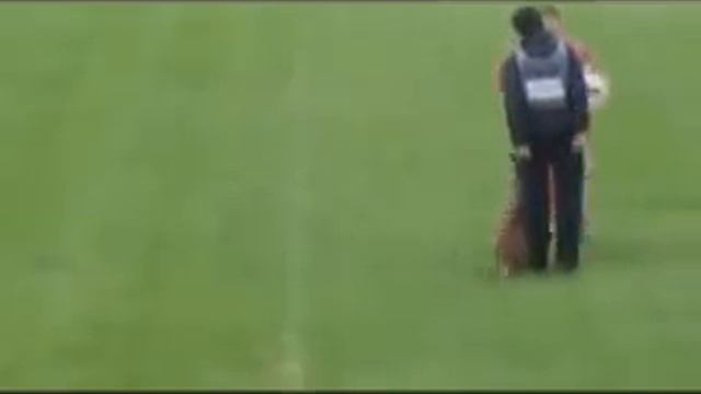 Переключилась в проводника. Реальный укус спортивной малина на живца