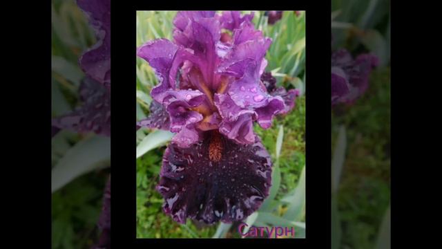 Музыка: CubaМузыкант: ASHUTOSH смотреть онлайн