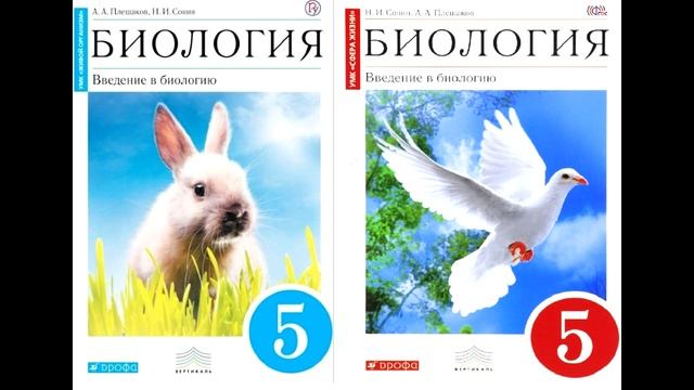 § 9 Как развивалась жизнь на Земле смотреть онлайн