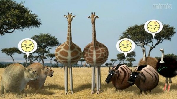 Savanna version - Giraffe from Rollin Wild