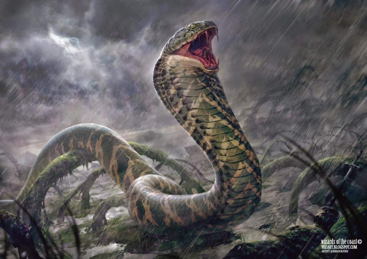 Прощание с Коброй. CQB.