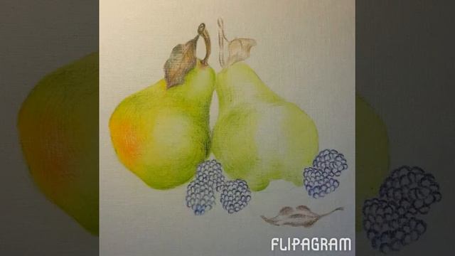 Рисунок карандашом. Натюрморт. Груши