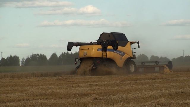 2NEW HOLLAND CX8.80, ACROS 585 уборка пшеницы.