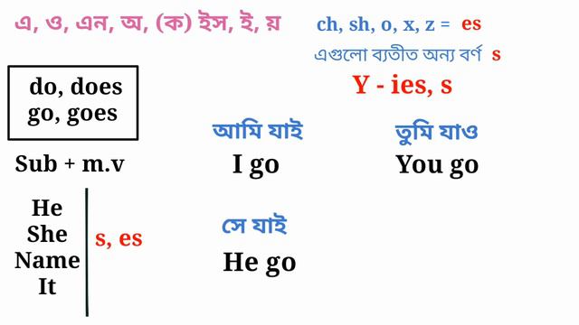 Tense শেখার সহজ পদ্ধতি শিখুন | Present tense by digital study смотреть онлайн