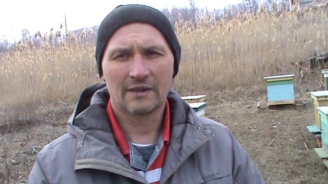 Обогрев для ульев Итоги зимовки 2020 смотреть онлайн