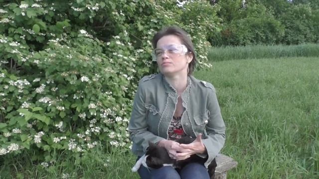 #1 Сахарный диабет 1 типа, личный опыт - дневник диабетика 1 типа смотреть онлайн