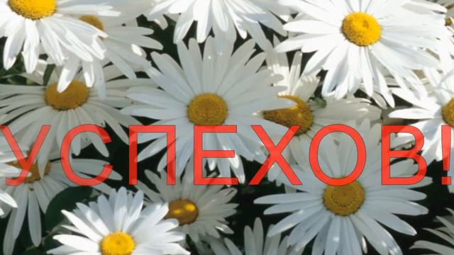 Поздравление с Днем рождения! смотреть онлайн