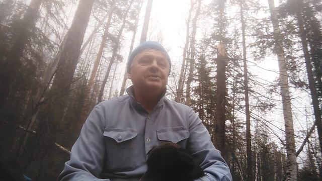 Где родился, там и пригодился. смотреть онлайн