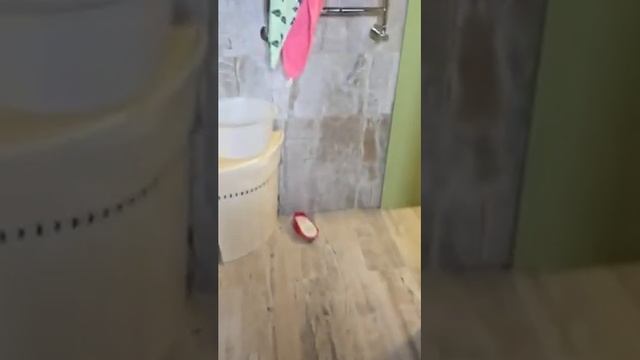 НОВАЯ ДАЧА ВАННА ТУАЛЕТ УМЫВАЛЬНИК смотреть онлайн