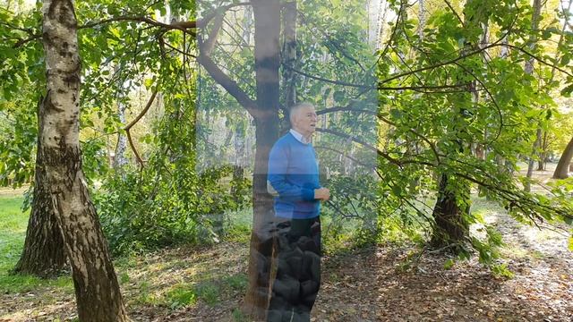 А я то думал, Вы счастливая муз А Лебедева, сл П Градова кавер версия Исполнитель Валерии смотреть онлайн