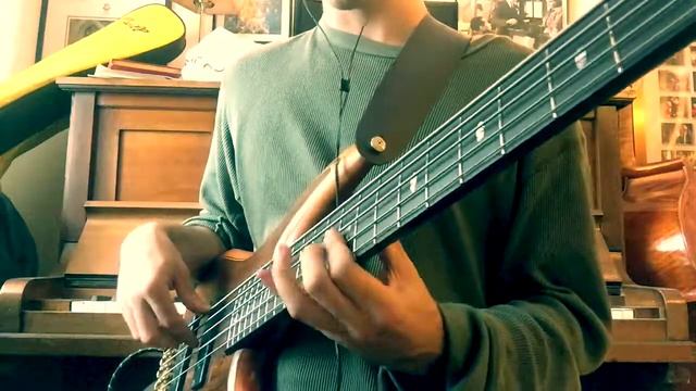 Tedeschi Trucks - Don't Know What It Means (Bass Cover - ibanez sr1205) смотреть онлайн