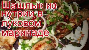 Рецепты из нутрии - как приготовить нутрию пошаговый рецепт - Шашлык из нутрии в луковом маринаде