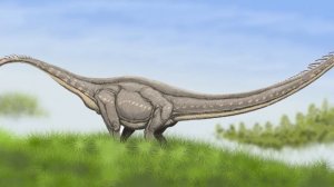 ДИПЛОДОК, БРАХИОЗАВР и КАМАРАЗАВР: Классификация динозавров [ЗАВРОПОДЫ] (Часть 3)