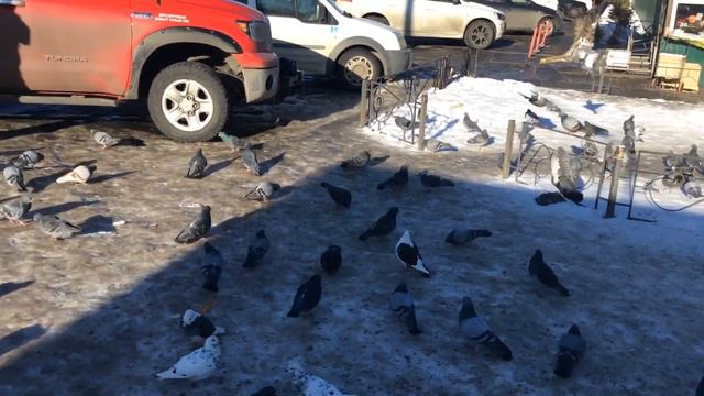 Пост — помогает в решении проблем. смотреть онлайн