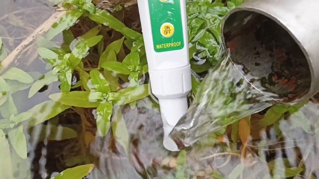 ОВП родниковой воды. смотреть онлайн