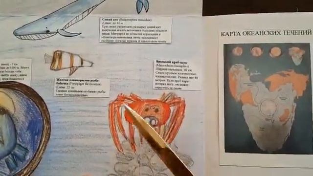 Поротова Дарина, лэпбук "Мои любимые морские обитатели" смотреть онлайн