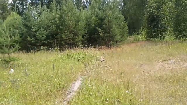 Лесной Курорт.Поездка в прошлое... смотреть онлайн
