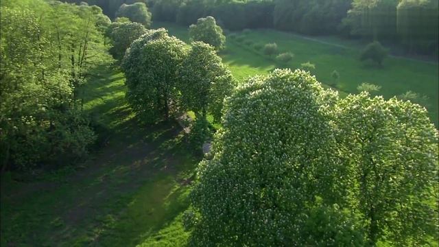 МОЖНО ЗАКАЗАТЬ ПОМИНОВЕНИЕ ЖИВЫХ ИЛИ УСОПШИХ НА МЕСЯЦ, НА ПОЛУГОДИЕ, НА ГОД.. смотреть онлайн