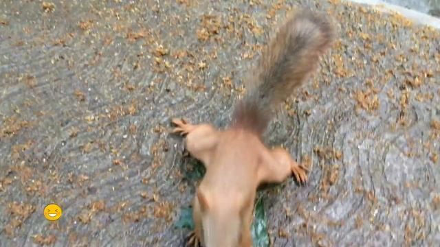 Казань - где поесть - ресторан 