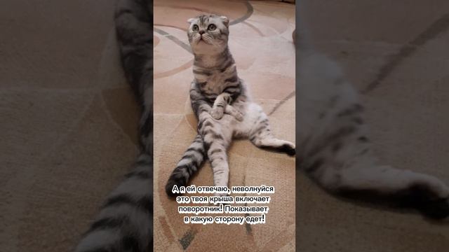 Маман... смотреть онлайн