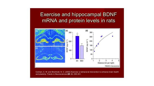 Психофармакологія антидепресанту Дулоксетину смотреть онлайн