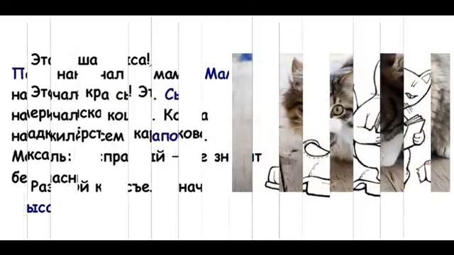 Анекдоты про кошек. Выпуск 1 смотреть онлайн