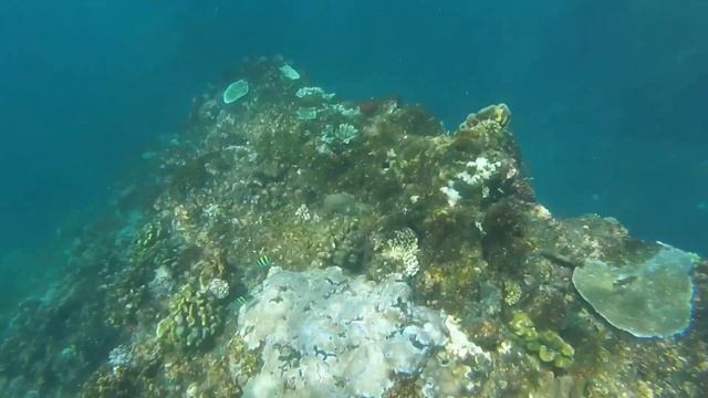 Lombok Spearfishing смотреть онлайн