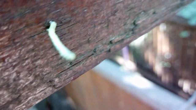 То что нас окружает смотреть онлайн