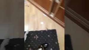 Опять все выключатели сожрал!!!!