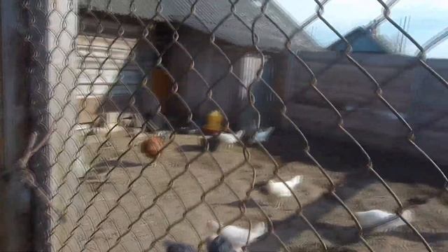 Дом в деревне. Субботник на даче смотреть онлайн