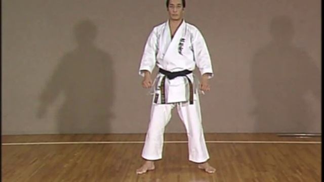 Kanazawa Hirokazu. SKIF. Complete Guide (Vol 2)