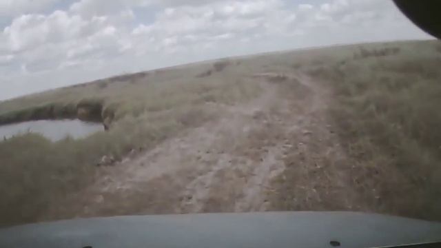 Коктеньколь Караганда смотреть онлайн