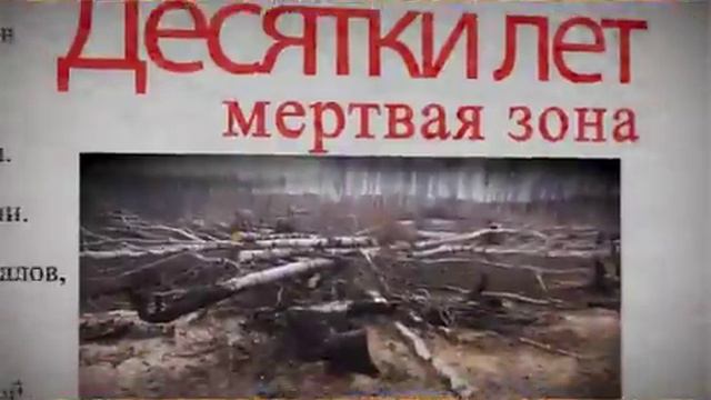Социальный видеоролик Министерства лесного хозяйства Республики Татарстан смотреть онлайн