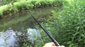 Летняя ловля Плотвы на Боковой кивок! На Микро-речке!