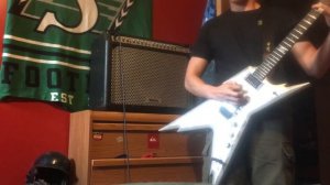 Washburn BD75R Amp